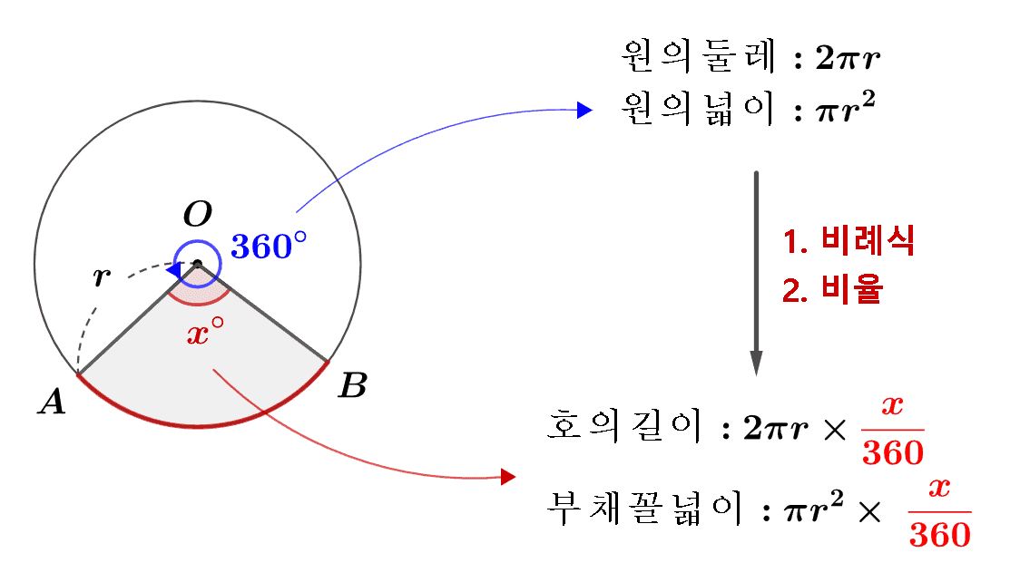 부채꼴의 호의 길이와 넓이
