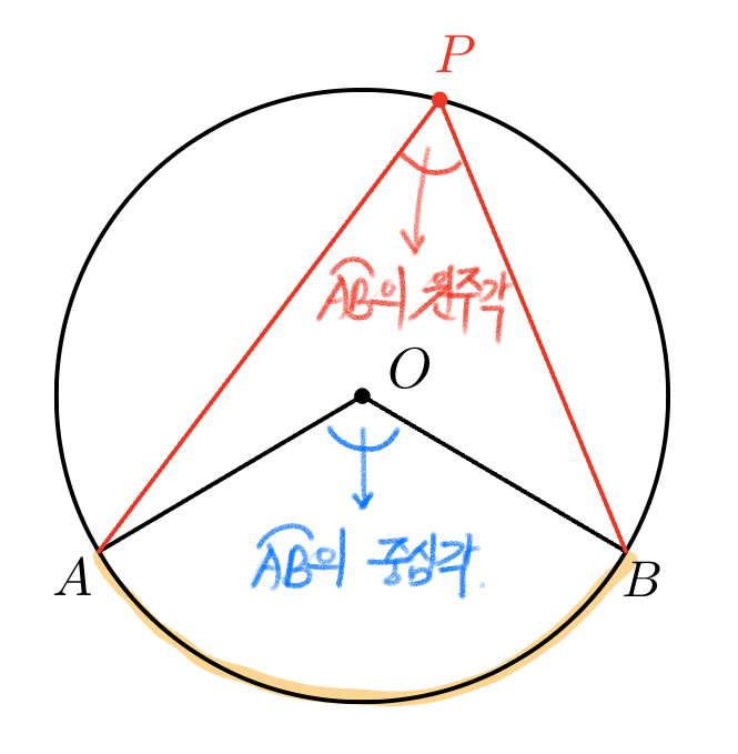 호에 대한 원주각과 중심각 정의