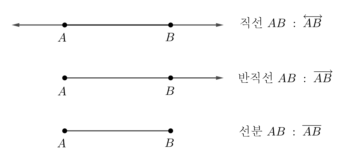 직선 반직선 선분