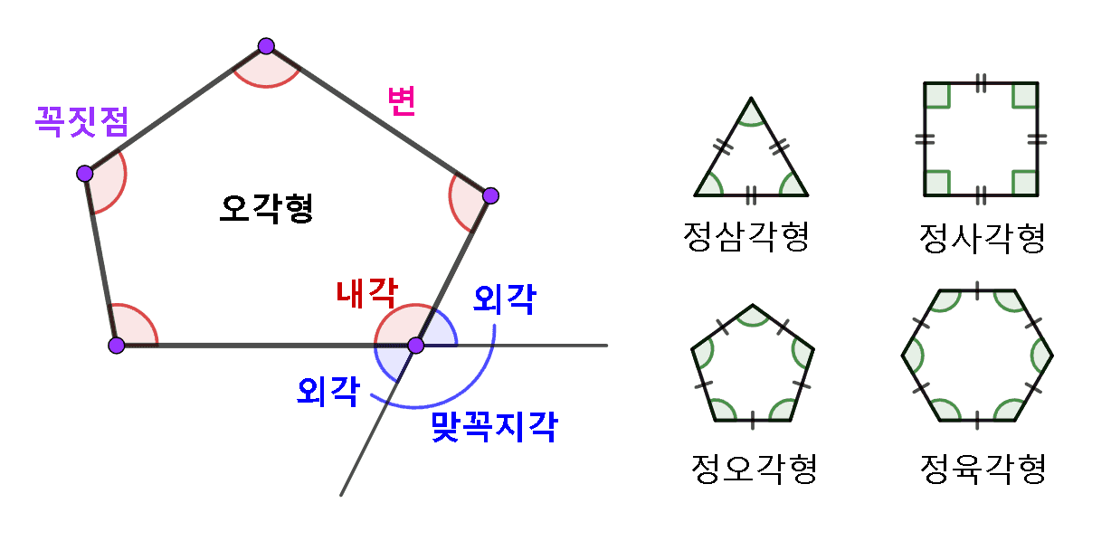 다각형 정다각형 용어 정리