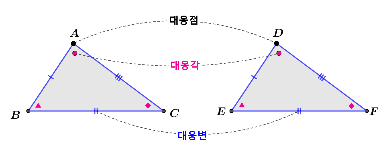 합동인 삼각형 용어 정리