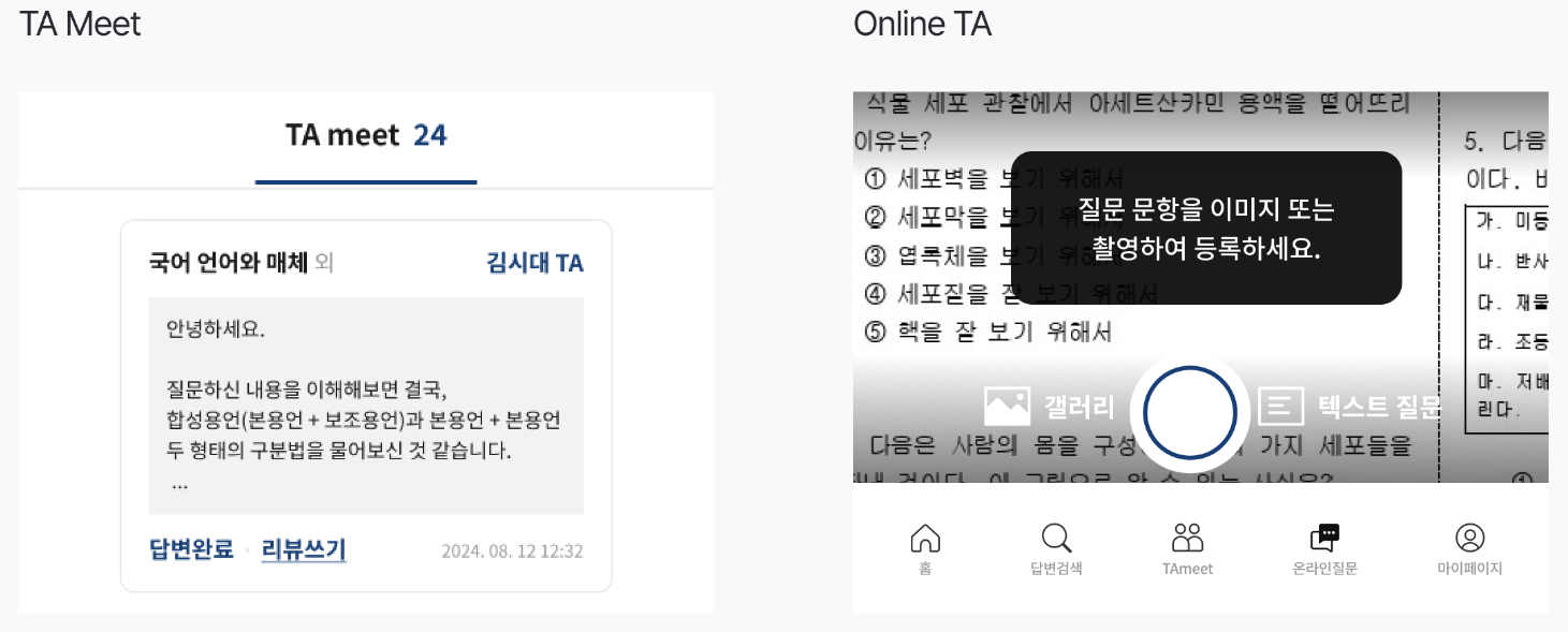 질의응답 TA Meet, Online TA